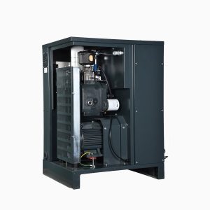 Compresor Serie NX - 4 Kw a 37 Kw - Imagen 2